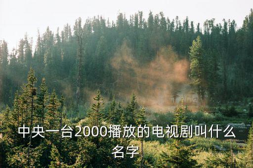 央視一套節(jié)目表，中央一臺播出的所有特別節(jié)目
