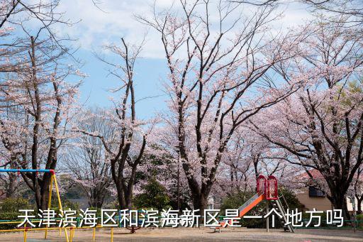 天津濱海區(qū)和濱海新區(qū)是一個地方嗎