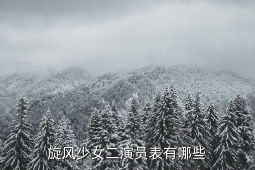 旋風(fēng)少女二演員表有哪些