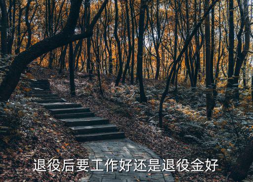 退役后要工作好還是退役金好