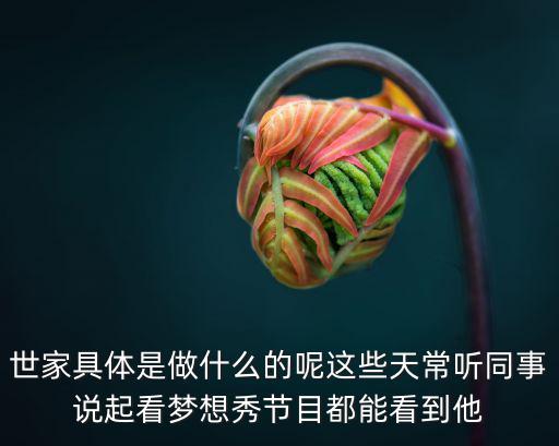 世家具體是做什么的呢這些天常聽同事說起看夢想秀節目都能看到他