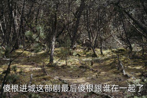 傻根進(jìn)城這部劇最后傻根跟誰在一起了