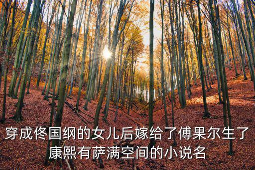 佟國綱，穿成佟國綱的女兒后嫁給了傅果爾生了康熙有薩滿空間的小說名