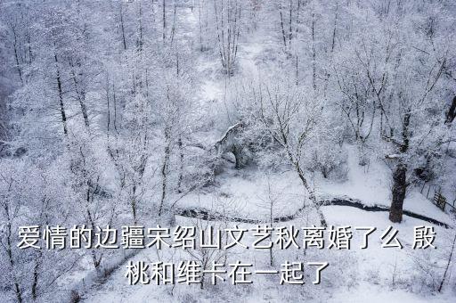 愛情的邊疆宋紹山文藝秋離婚了么 殷桃和維卡在一起了