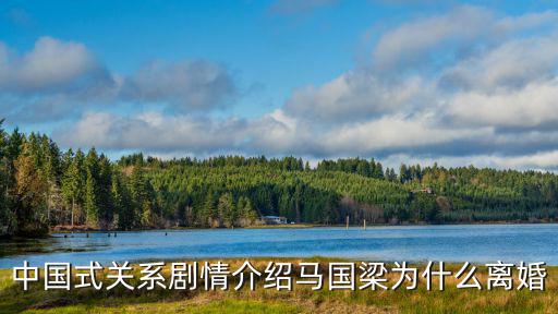 中國式關系劇情介紹馬國梁為什么離婚