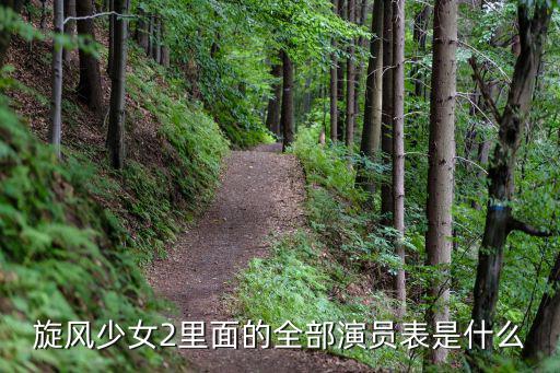 旋風(fēng)少女2里面的全部演員表是什么