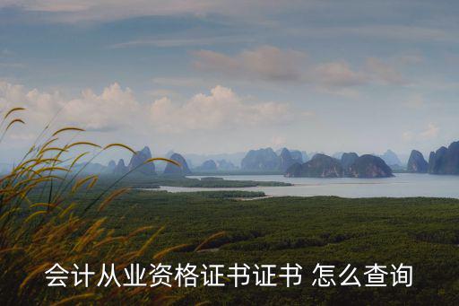會計從業資格證書證書 怎么查詢