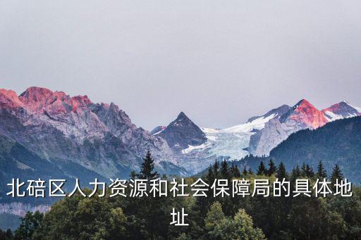 北碚區人力資源和社會保障局的具體地址