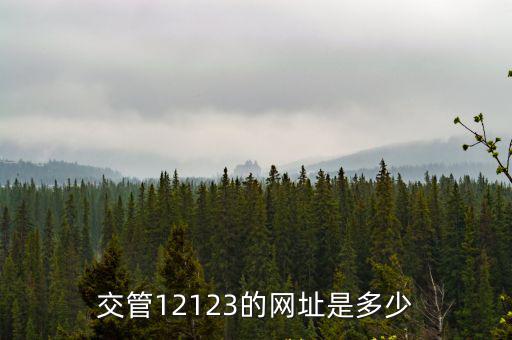 交管官網，省市兩交管官網違章數據不一樣怎么辦