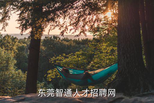 東莞智通人才招聘網(wǎng)