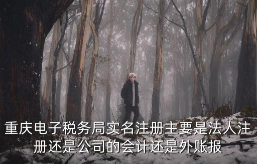 重慶電子稅務局實名注冊主要是法人注冊還是公司的會計還是外賬報