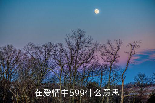 在愛情中599什么意思