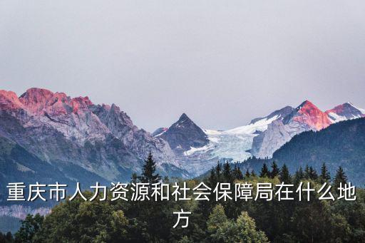 重慶市人力資源和社會(huì)保障局在什么地方