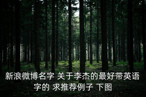 新浪微博名字 關于李杰的最好帶英語字的 求推薦例子 下圖