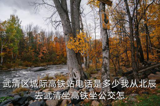 武清區城際高鐵站電話是多少我從北辰去武清坐高鐵坐公交怎