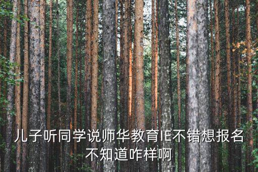 兒子聽同學(xué)說師華教育IE不錯(cuò)想報(bào)名不知道咋樣啊