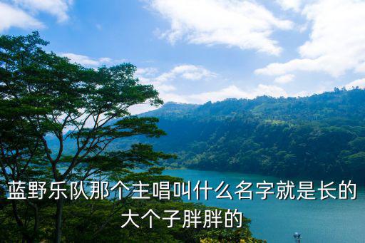 藍野樂隊，藍野樂隊那個主唱叫什么名字就是長的大個子胖胖的