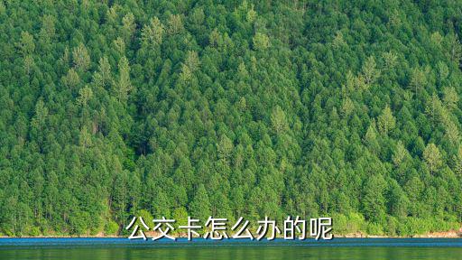 公交卡怎么辦的呢