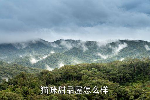 貓咪甜品屋怎么樣