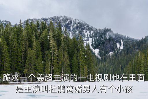 跪求一個姜超主演的一電視劇他在里面是主演叫杜鵑離婚男人有個小孩