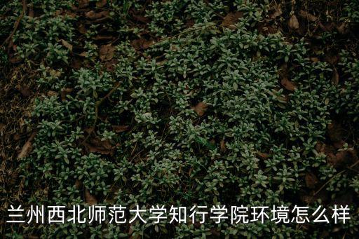 蘭州西北師范大學知行學院環境怎么樣