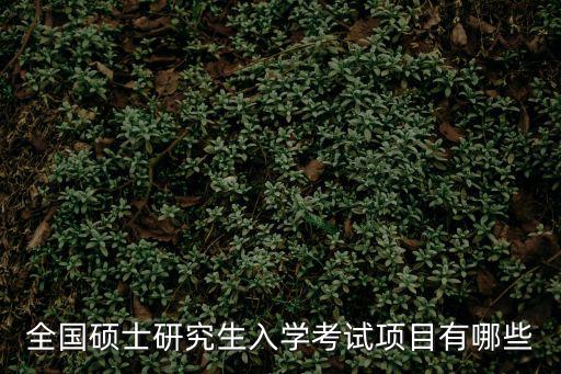 全國碩士研究生入學考試項目有哪些
