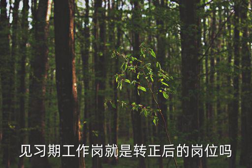 見習期工作崗就是轉正后的崗位嗎