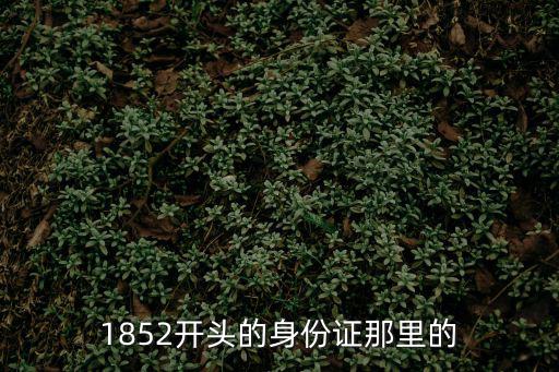 1852開頭的身份證那里的