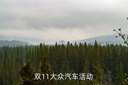 雙11大眾汽車活動