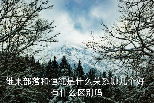 維果部落，5個橙子是維果部落的嗎我有點暈了