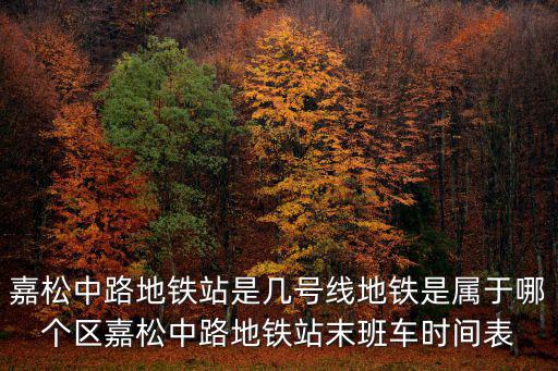 嘉松中路地鐵站是幾號線地鐵是屬于哪個區(qū)嘉松中路地鐵站末班車時間表