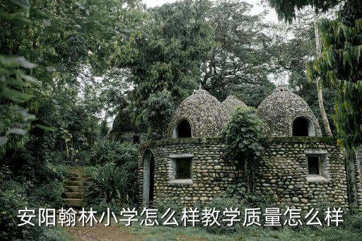 安陽翰林小學(xué)怎么樣教學(xué)質(zhì)量怎么樣