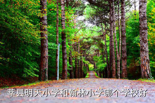 莘縣明天小學(xué)和翰林小學(xué)哪個(gè)學(xué)校好