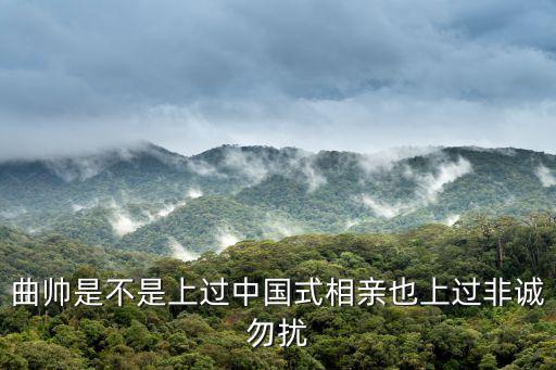 曲帥是不是上過中國式相親也上過非誠勿擾