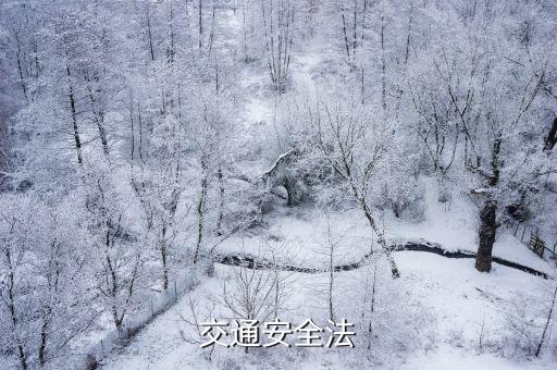 交通安全法