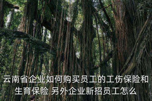 云南省企業(yè)如何購買員工的工傷保險(xiǎn)和生育保險(xiǎn) 另外企業(yè)新招員工怎么