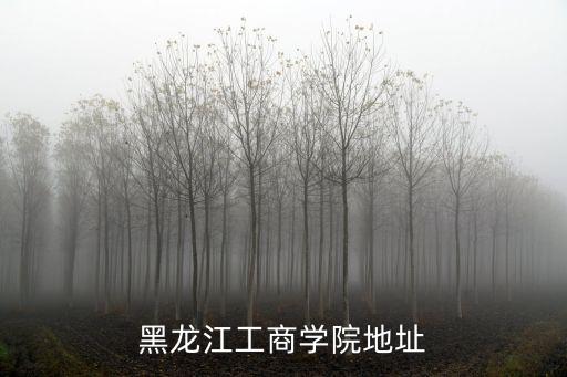 哈爾濱工商學(xué)院，哈爾濱工商職業(yè)學(xué)院