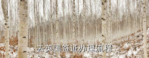 去英國簽證辦理流程