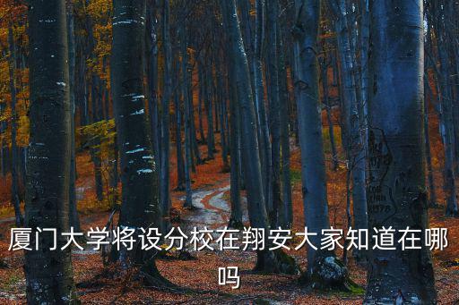 廈門大學(xué)翔安校區(qū)，廈大翔安校區(qū)具體位置