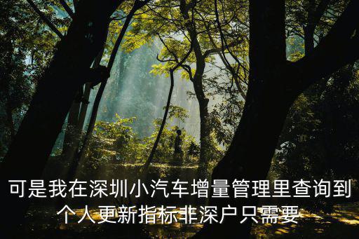 可是我在深圳小汽車增量管理里查詢到個人更新指標非深戶只需要