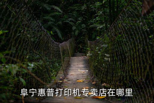阜寧惠普打印機專賣店在哪里