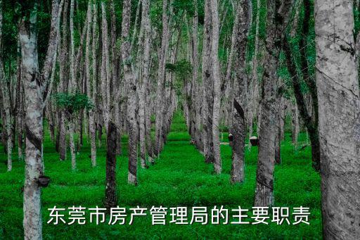 東莞市房產(chǎn)管理局的主要職責(zé)