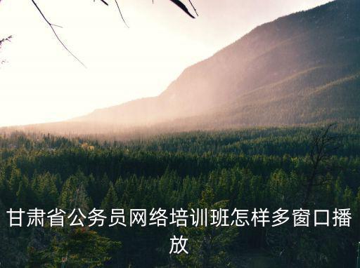 甘肅省公務員網絡培訓班怎樣多窗口播放