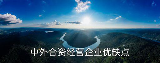 中外合資經營企業優缺點