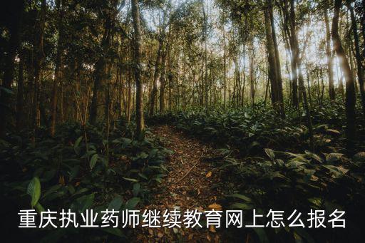 重慶執(zhí)業(yè)藥師繼續(xù)教育網(wǎng)上怎么報名
