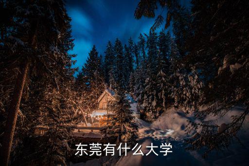 東莞有什么大學