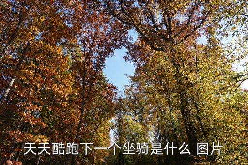 天天酷跑下一個坐騎是什么 圖片