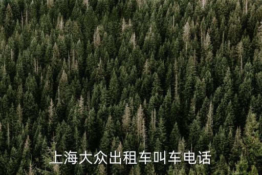 上海大眾出租車叫車電話