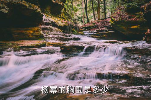 楊冪的胸有多大，楊冪的乳有多大