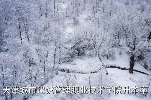 天津城市職業技術學院，天津市城市職業管理學校在哪